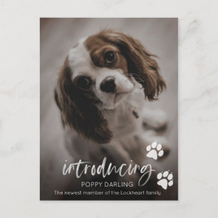 Puppy of Dog adoptiekaart, nieuwe huisdieraankondi Briefkaart