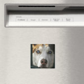 Puppy Ogen Magneet (Insitu (Vaatwasser))