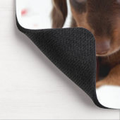 Puppy ogen muismat (Hoek)