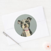 Puppy Ogen | Schattigee Pit Bull Terrier Dog Ronde Sticker (Envelop)