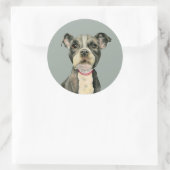 Puppy Ogen | Schattigee Pit Bull Terrier Dog Ronde Sticker (Tas)