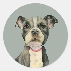 Puppy Ogen Schattigee Pit Bull Terrier Dog Ronde Sticker