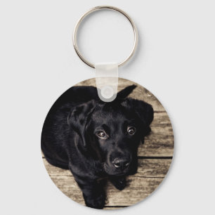 Puppy-ogen Sleutelhanger