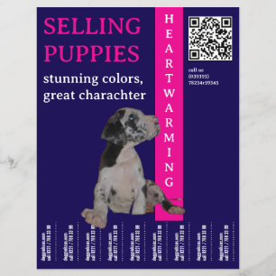 Puppy om te verkopen flyer