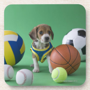 Puppy omringd door sportballen onderzetter