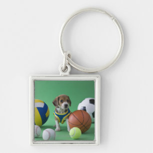Puppy omringd door sportballen sleutelhanger