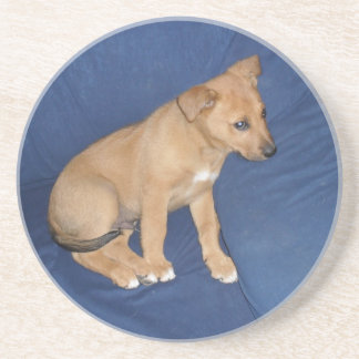 Puppy Onderzetter
