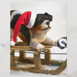 Puppy op een geleide