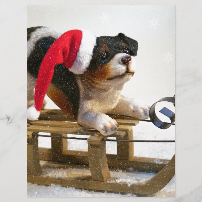 Puppy op een geleide (Voorkant)