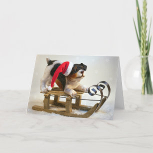 Puppy op een geleide feestdagen kaart