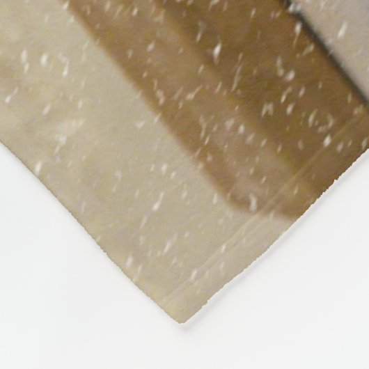 Puppy op een geleide fleece deken (Hoek)