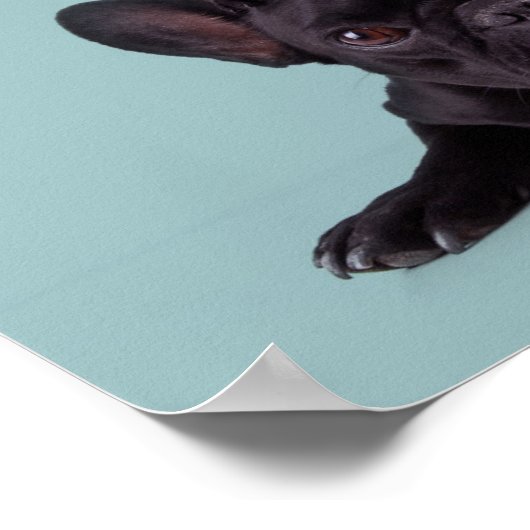 Puppy op het hoofd van zijn moeder poster (Hoek)