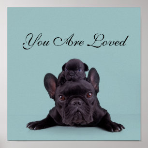 Puppy op het hoofd van zijn moeder poster