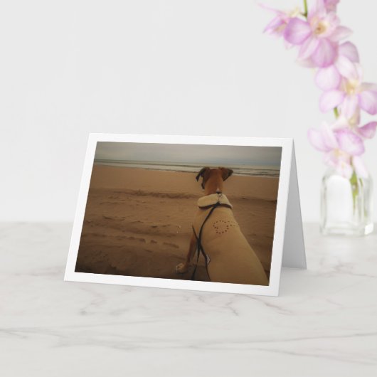 Puppy op het strand kaart (Orchidee)