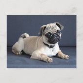 Puppy op Laag Lounging Briefkaart (Voorkant)