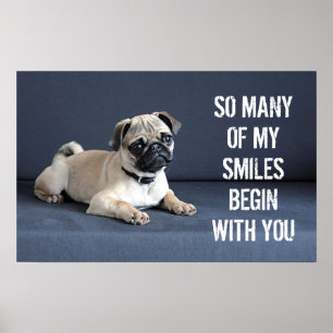 Puppy op legende bank poster