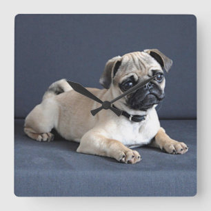 Puppy op legende bank vierkante klok