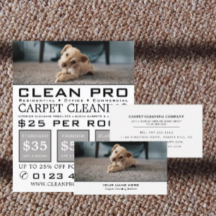 Puppy op tapijt, tapijtreinigers, reinigingsservic flyer