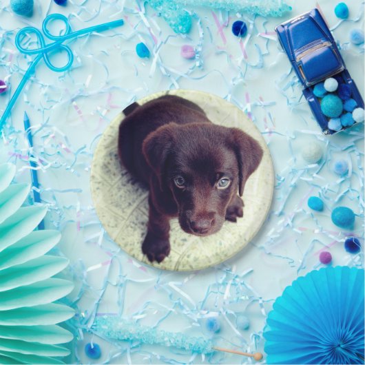 Puppy Papieren Bordje (Feest)