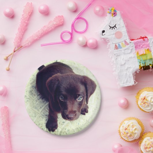 Puppy Papieren Bordje (Feest)