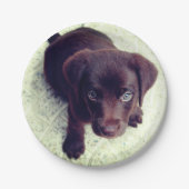 Puppy Papieren Bordje (Voorkant)