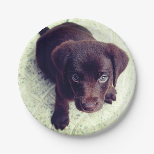 Puppy Papieren Bordje (Voorkant)