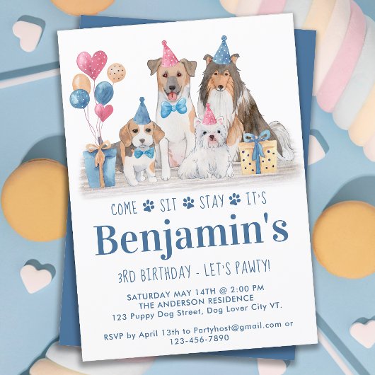Puppy Party Dog Blue Boy Birthday Pawty Kaart