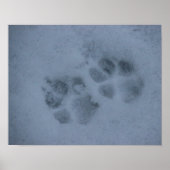 Puppy Paw-afdrukken in sneeuw Poster (Voorkant)