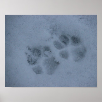 Puppy Paw-afdrukken in sneeuw Poster