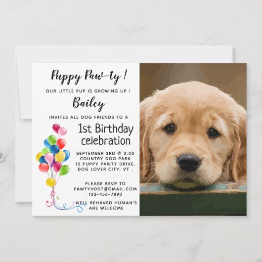 Puppy Pawty Pet Foto Puppy Verjaardagsfeest Kaart (Voorkant)