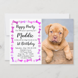 Puppy Pawty - Roze meisje Pet - Dog Birthday Puppy Kaart