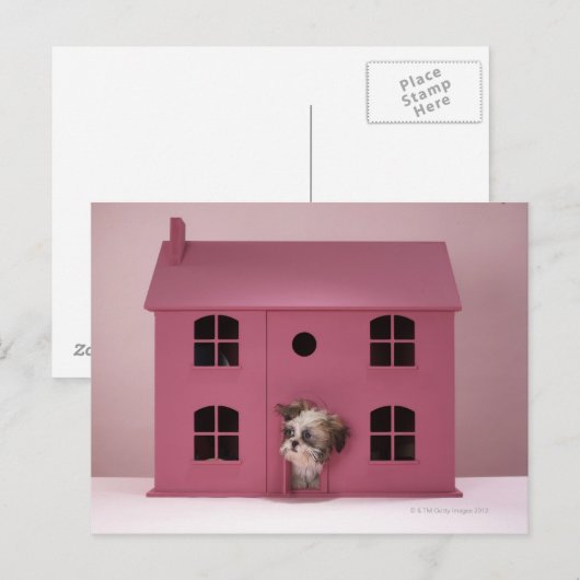Puppy peering uit het huis van de pop briefkaart (Voorkant / Achterkant)