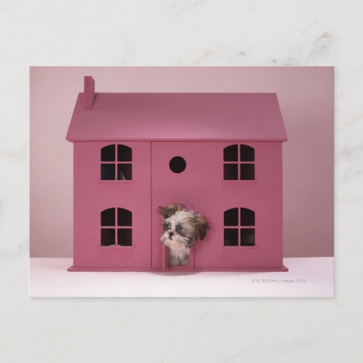 Puppy peering uit het huis van de pop briefkaart (Voorkant)