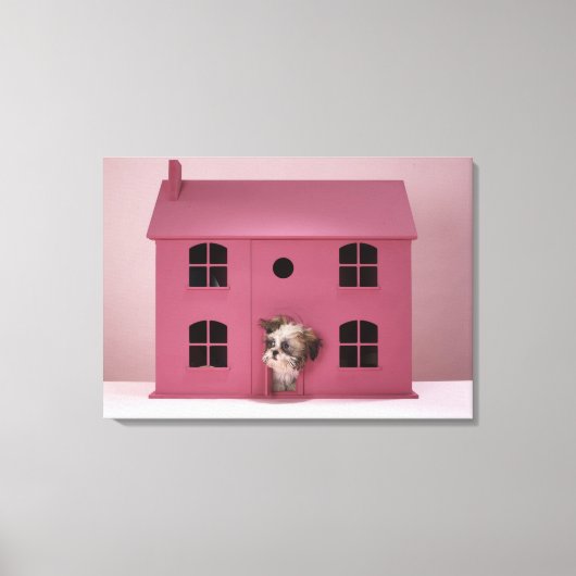 Puppy peering uit het huis van de pop canvas afdruk (Voorkant)