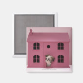Puppy peering uit het huis van de pop magneet (Voorkant / Achterkant)