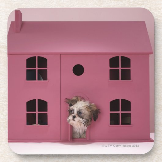 Puppy peering uit het huis van de pop onderzetter (Voorkant)