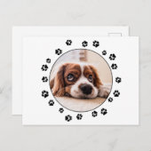 Puppy Photo Black Pawprints Briefkaart (Voorkant / Achterkant)