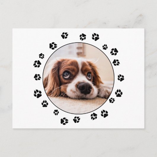 Puppy Photo Black Pawprints Briefkaart (Voorkant)