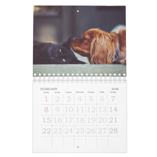 Puppy Photo Calendar Small Kalender (Feb 2026)