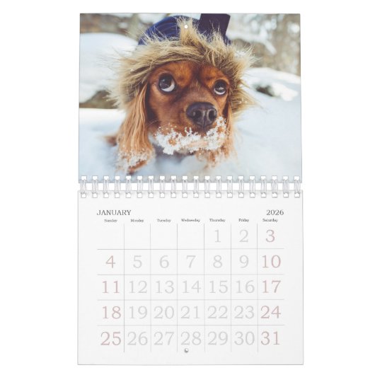 Puppy Photo Calendar Small Kalender (Jan 2026)