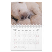 Puppy Photo Calendar Small Kalender (Mar 2026)