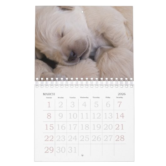 Puppy Photo Calendar Small Kalender (Mar 2026)
