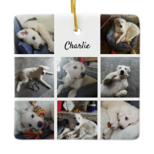 Puppy Photo Collage Cute Dog