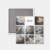 Puppy Photo Collage Cute Pet Magneet (Voorkant / Achterkant)