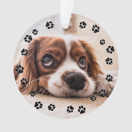 Puppy Photo Pawprints Ornament (voorkant)
