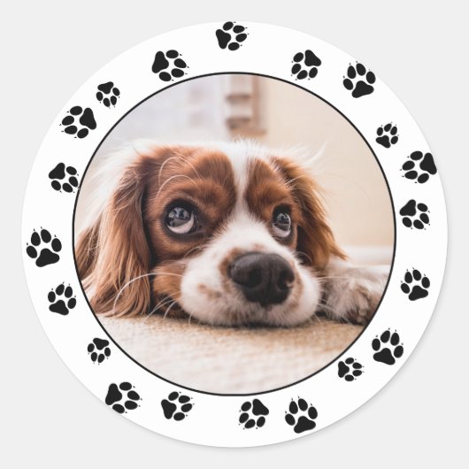 Puppy Photo Pawprints Ronde Sticker (Voorkant)