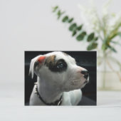 Puppy Pit Bull T-Bone Briefkaart (Staand voorkant)