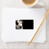 Puppy Pit Bull T-Bone Etiket (Insitu)