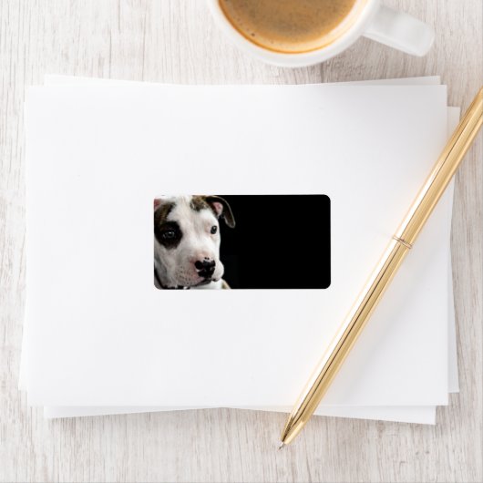 Puppy Pit Bull T-Bone Etiket (Insitu)