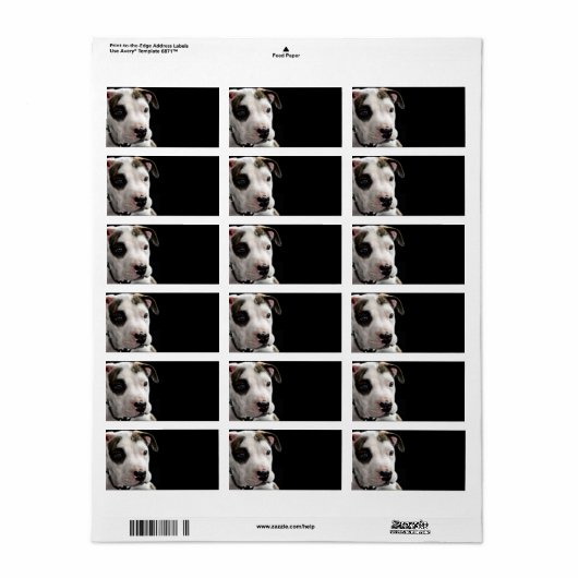 Puppy Pit Bull T-Bone Etiket (Full Sheet)
